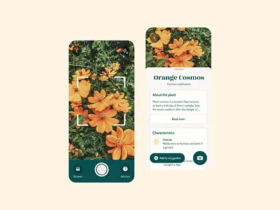 Scan plant concept app camera clean ui concept flower green inspiration interface plant scan ui