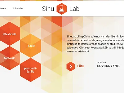 Sinulab interface ui ux