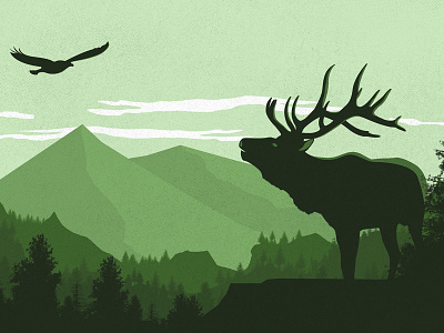Catalog Cover illustration layout