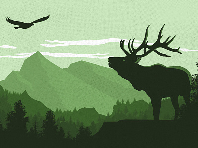 Catalog Cover illustration layout