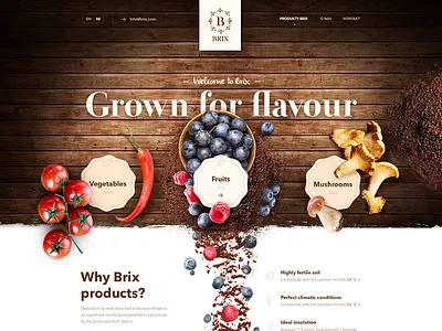 Brix 2 version brix flavour food fruit grown header luxury photo vegetable vintage web