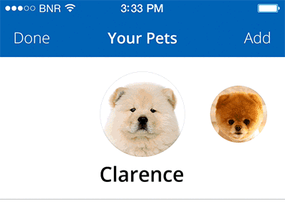 Pet Carousel pets pixate prototype
