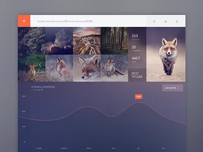 Contributor Panel UI dashboard data panel photos statistic stats ui ux