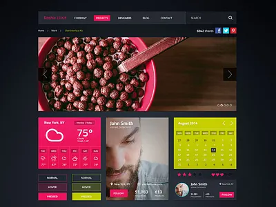 Roshie – Main Elements (PSD) cool ui kit corporate design gui navigation psd trendy ui template web design web kit web ui website