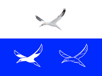 Bird mark brand design freelance logo mark vietnam