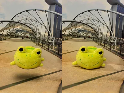 Floating Frog Illusion 3d illusion floating frog helix bridge