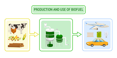 Biofuel infographics biofuel equipment flat illustration material vector
