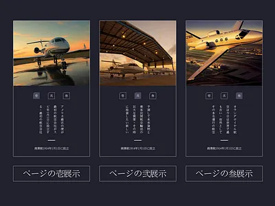 Aviation APP concept design
