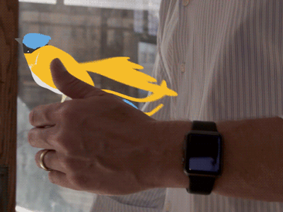 WIP: Marketing Promo animation bird compositing gif live action mograph wip