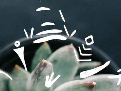 Succulent Meditation doodles vector doodles