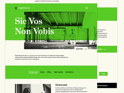 Copenhaver Consulting Website branding copenhaver consulting interface design ui ux web design website wier stewart