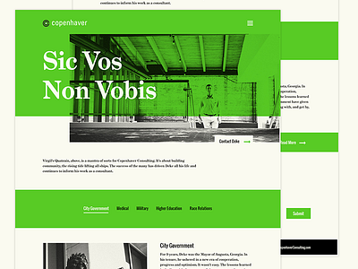 Copenhaver Consulting Website branding copenhaver consulting interface design ui ux web design website wier stewart