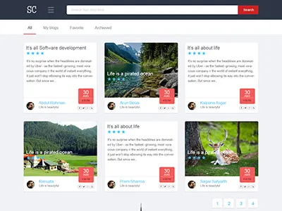 Seikh Corp blog design mobile development web design