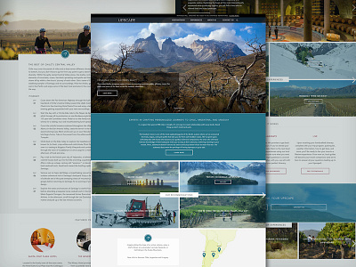 Upscape Web Design & Branding branding graphic design upscape website