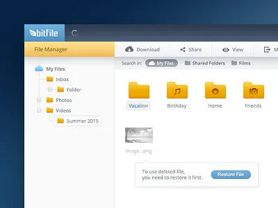 bitFile File Manager UI/UX Design application file manager ui ux