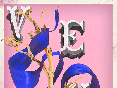 Velvet c4d design pillow fight illustration typography velvet