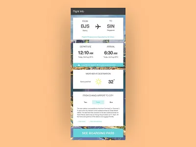 Flight / travel info app app flight mobile plane travel travelapp ui userinterface ux web