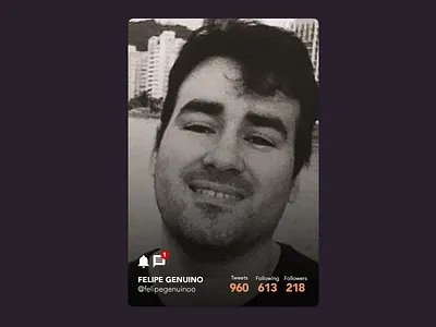 Twitter Profile about card design freebies info material twitter twitter profile