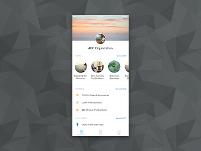 Organization Profile challenges company health ios iphone organization rewards teams wellness