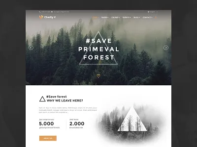 Save Primeval Forest charity donate forest save tree