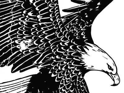 Rogue American Eagle america crossfit drawing eagle illustration vintage