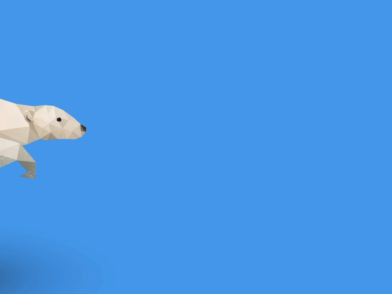 Dribbble Bear. animals bear cute animals low poly low polygon photoshop photoshop cc polar bear brown bear vector vector art