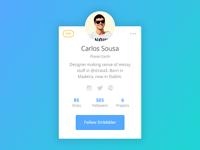 Day 019 - Dribbble Profile Card card draft dribbble flat instagram pro profile twitter user