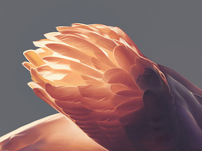 Swan color feathers fire painting sss sun swan