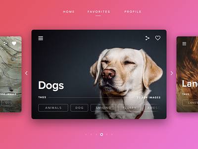modern slider design dog gradient image photo simple slider ui ux
