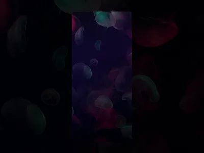 Sign In Flow Animation animation app code confirmation daily daily ui dailyui dark design login motion graphics phone principle registration sign in sign up ui user experience user interface ux