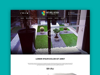 Naturel Design Homepage website blue design green homepage naturel orange ui ux website