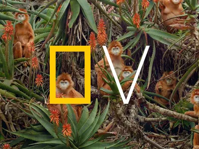 Nat Geo View chronicle national geographic product design