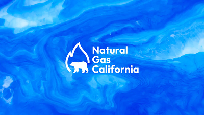 Natural Gas California - Branding brand guidelines brandbook branding california electricity energy company logo logo design natural ga natural gas comoany oil company