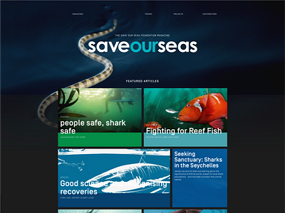 Saveourseas magazine Home Page articles grid layout magazine responsive save sea ui ux website