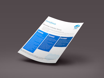 Sponsorship Prospectus develop prospectus salesforce sponsor