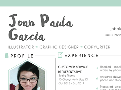 stylized resume and portfolio cv portfolio resume resume template