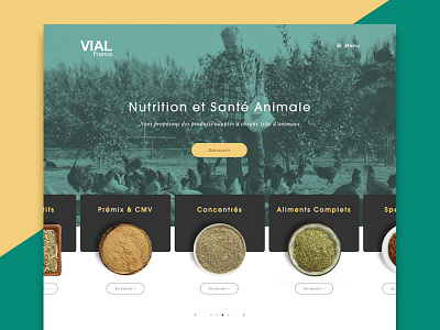 // WIP // VIAL France - V1 art direction design homepage ux wip