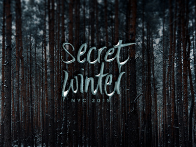 WIP brush lettering lettering logo
