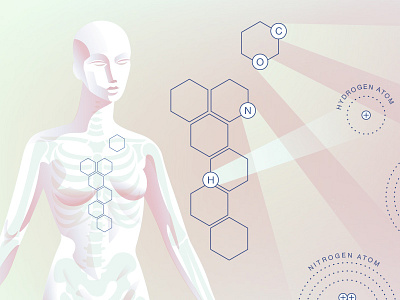 physics of the human body anatomy atoms body molecules particles physics skeleton