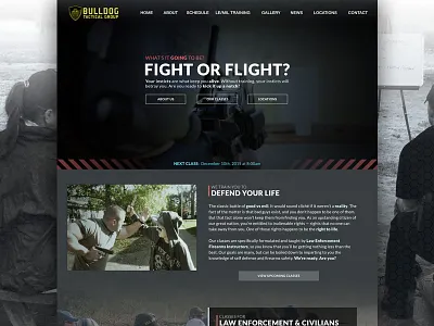 Bulldog Tactical Redux firearms guns self defense tactical training