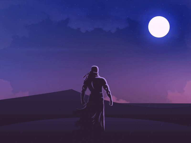 The Ninja ninja