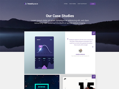 Case Studies case study portfolio showcase