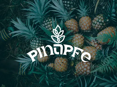 Pinapfe Branding brand identity branding drink drink logo food logo fresh graphic design illustration juice logo leaf logo liquid logo logo logo design mi minimal logo nature recycle restaurant logo sweet logo wordmark logo