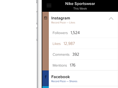 SumAll iOS App api b2b facebook google instagram roi smb twitter youtube