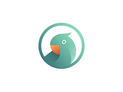 Bird ara beak feather lori lorikeet parakeet parrot