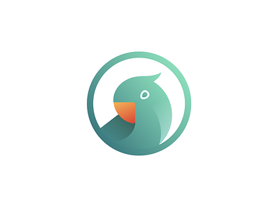 Bird ara beak feather lori lorikeet parakeet parrot