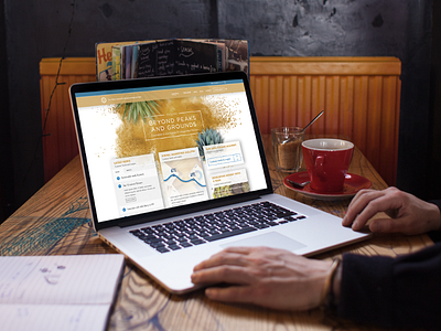 Naturals Portal Dashboard app dashboard design digital digital design logo mobile portal ui ux web webdesign