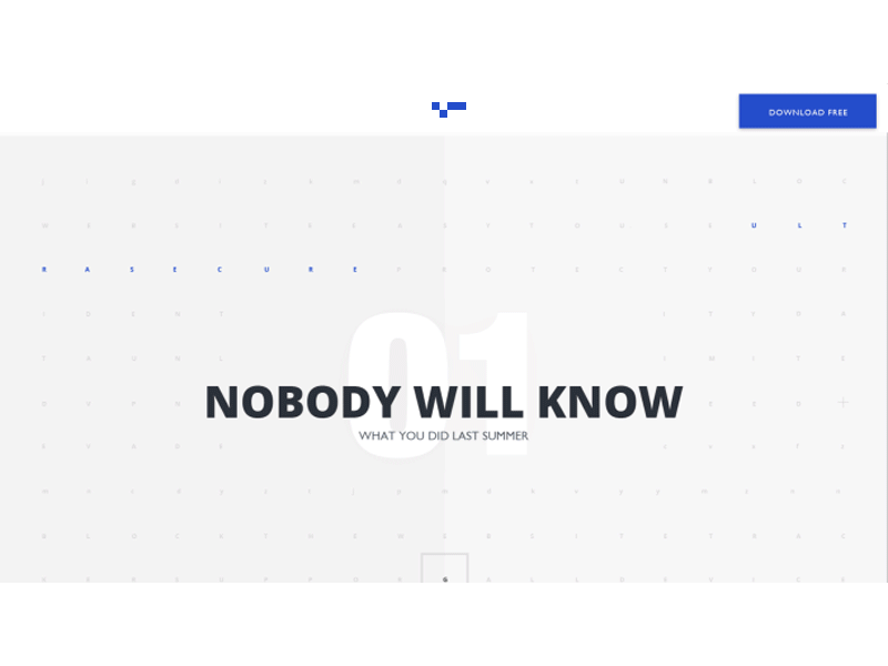 Concept secure VPN service gif ui web webdesign website