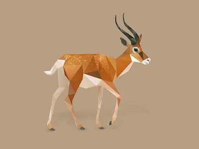 Gazzelle. animals cute animals gazelle gazelles low poly low poly art low polygon photoshop photoshop cc safari vector vector art