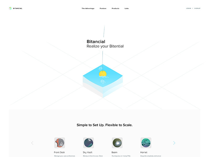 Example of Bitancial Redesign